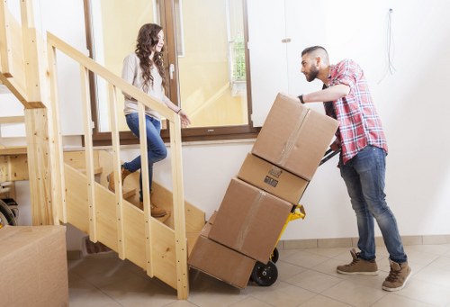 Eco-friendly removal services in Belgium