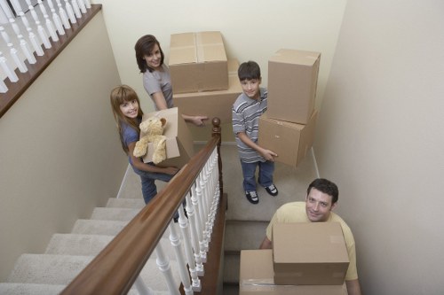 Affordable man with van moving